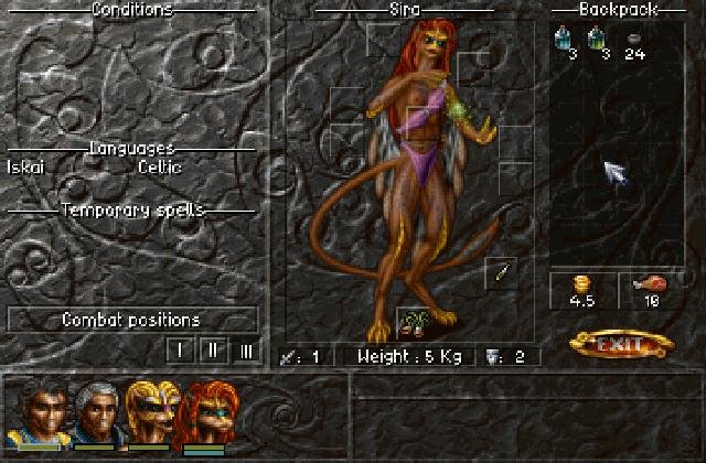 Znalezione obrazy dla zapytania albion game rpg